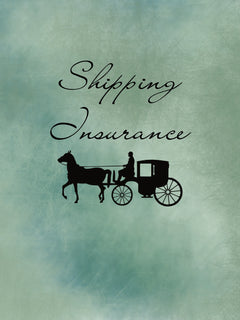 shipping insurance graphic of a victorian horse and carriage.