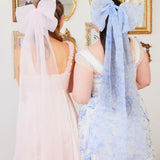 Two people in dresses with giant flutter bows, one pink and one blue, showcasing style