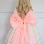 Tastes Like Peaches Grand Bow Belt in electric peach organza, styled on a lace dress with oversized bow and flowing sheer tails.